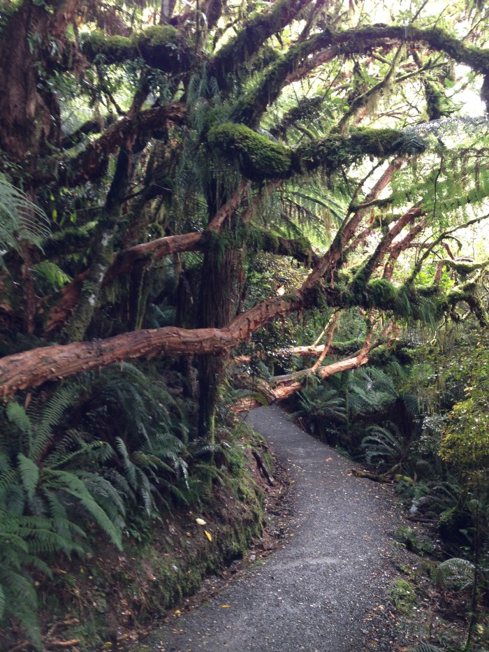 On the way to McLean Falls