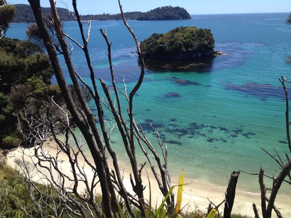 Stewart Island