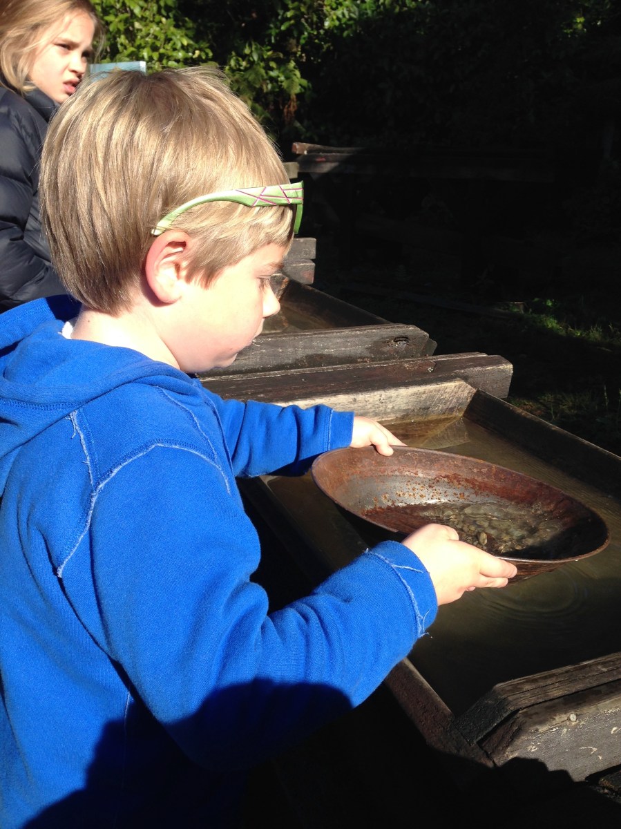 Gold Panning