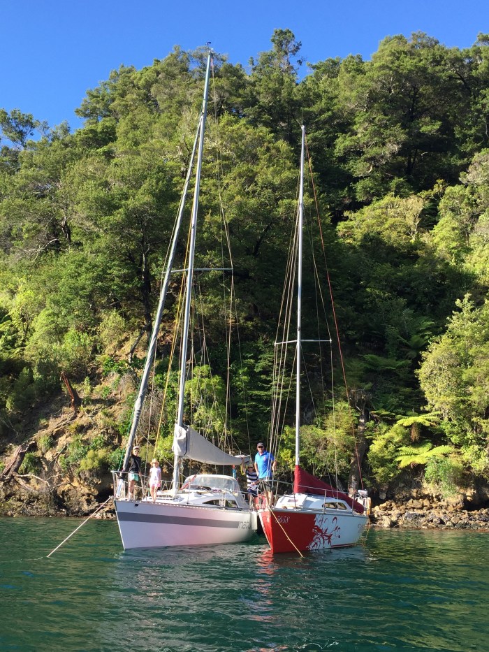 Natural Magic &amp; Wildwood