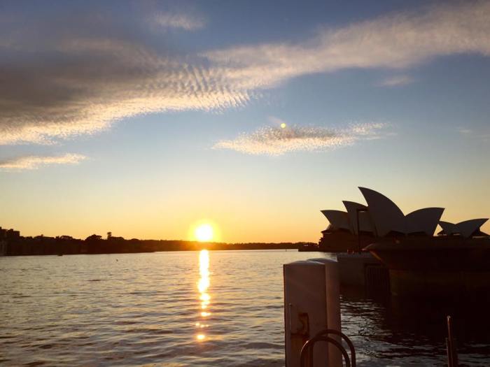 11824998_995304440488665_553675916126247808_n