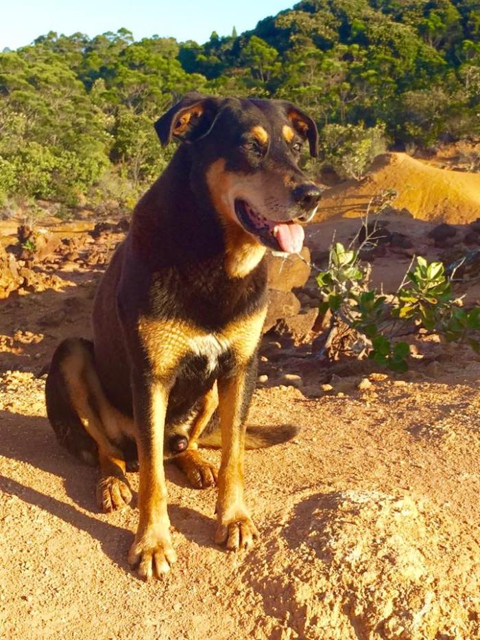 12032366_1020337921318650_809966234_n