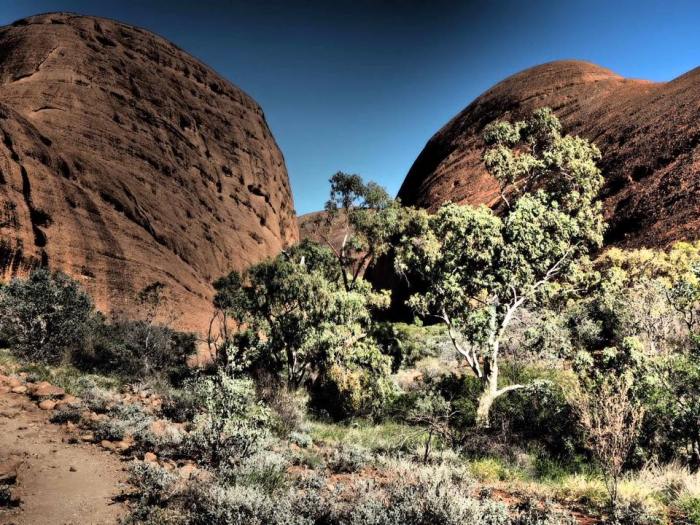 944887_1127758293909945_5672642828456926732_n