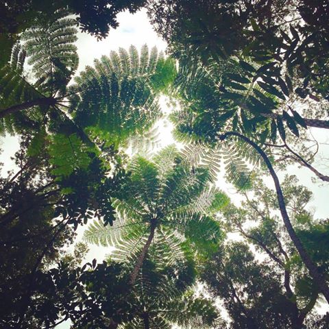 13451000_740527562716464_5081980115625333824_n