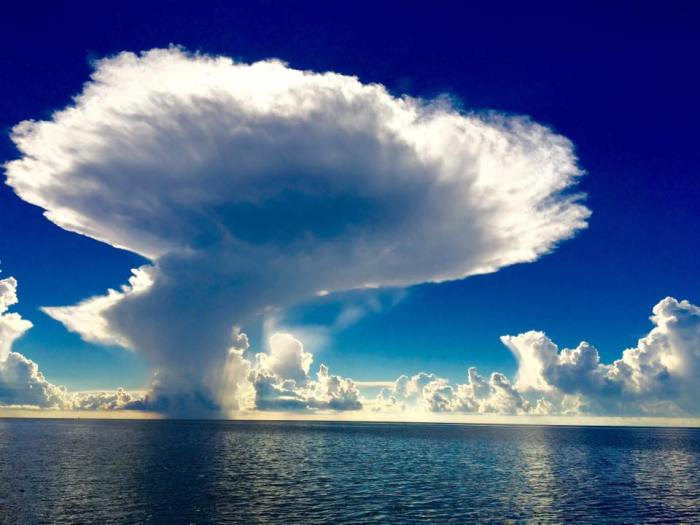 14370141_10154571848092888_8403317687367548088_n