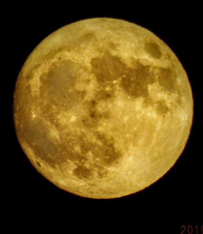 15095667_1426630184029008_7290805220055641014_n