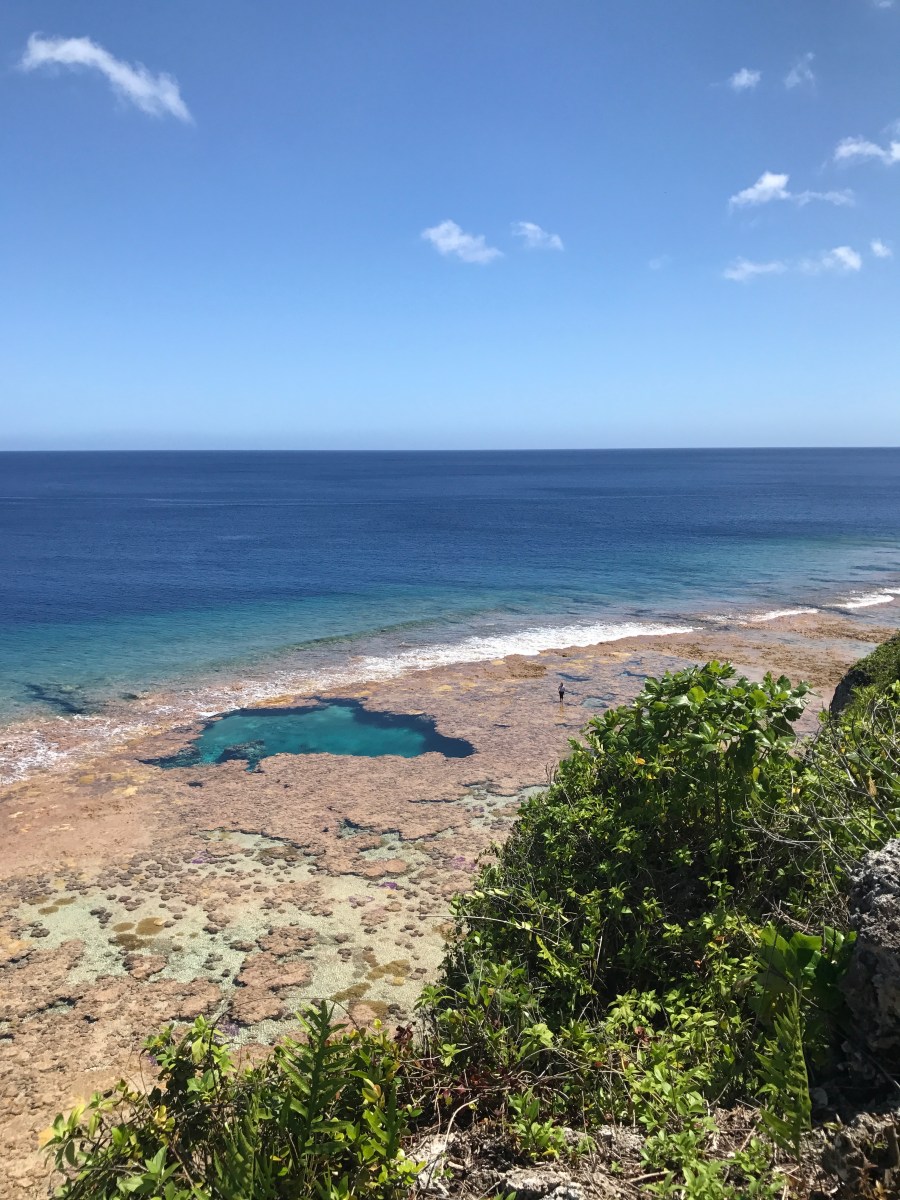 rock pool exposed at low tide in Niue