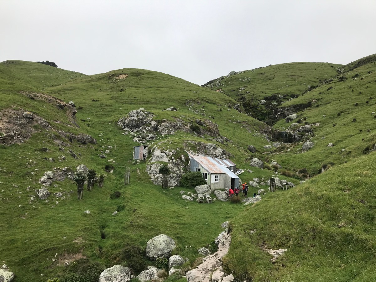 Cottage in the hill on the Banks Track