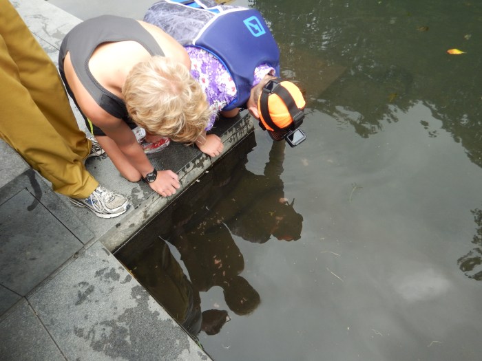 39300201215_2b602b2768_o