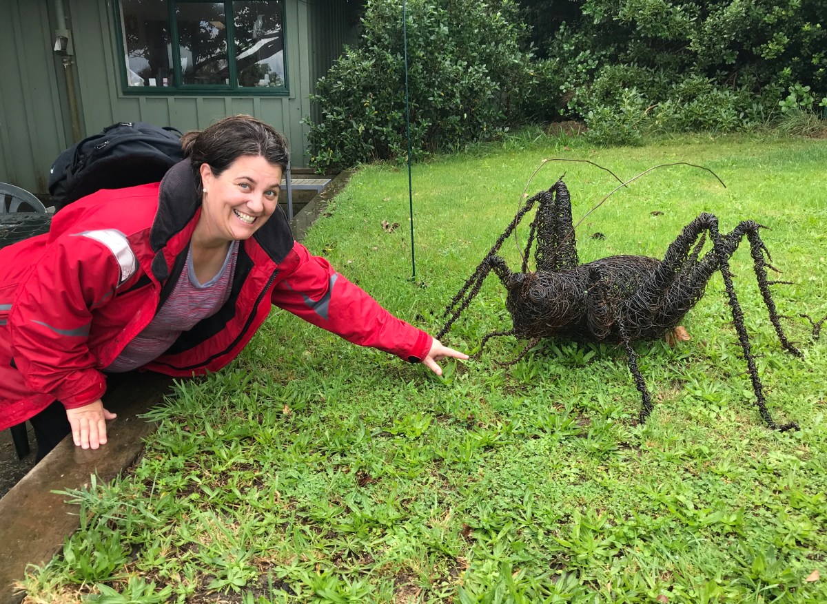 woman with huge grasshopper