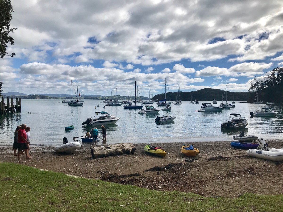 a large number of yachts at anchor in Kawau Island