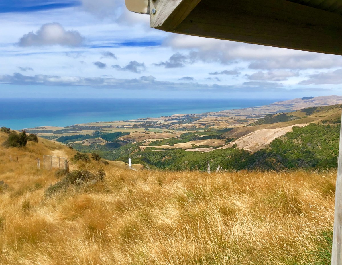 view of the ocean from Kaikoura Coast Track