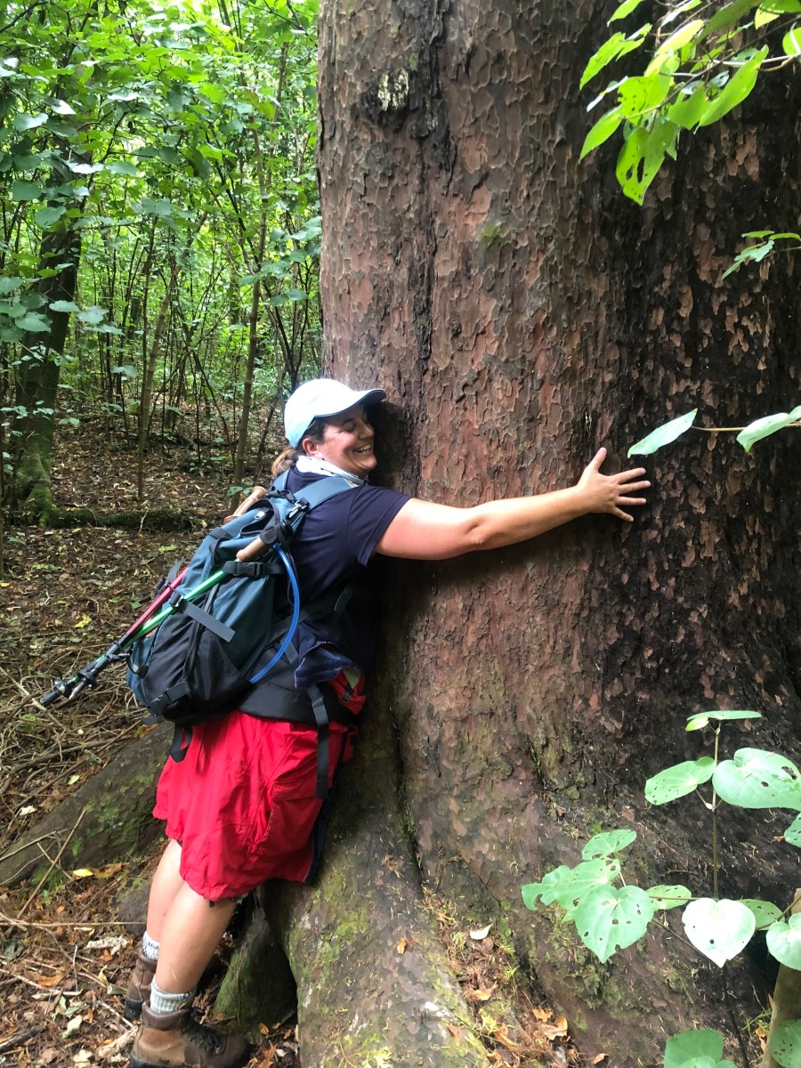 woman hugging a huge tree trunk